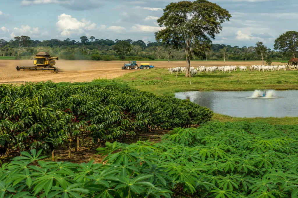 Produção agropecuária de Rondônia deve manter crescimento em 2026